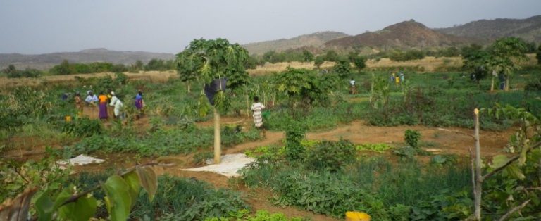 [Paris]Quelle modernité pour une agriculture durable en Afrique